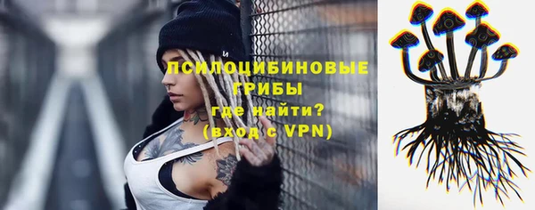 амф Алексеевка