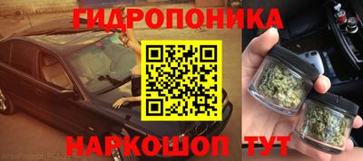 apvp Ирбит