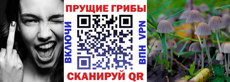 где купить сайты даркнета какой сайт Галлюциногенные грибы мицелий Магнитогорск