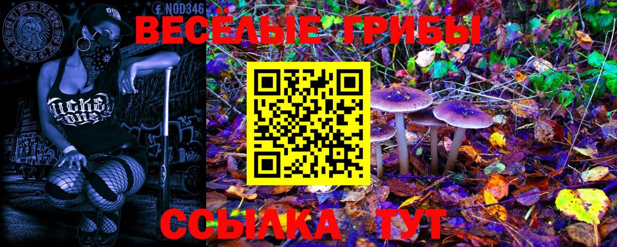 Магнитогорск  Галлюциногенные грибы Psilocybine cubensis  Вход с VPN  Галлюциногенные грибы мухоморы 